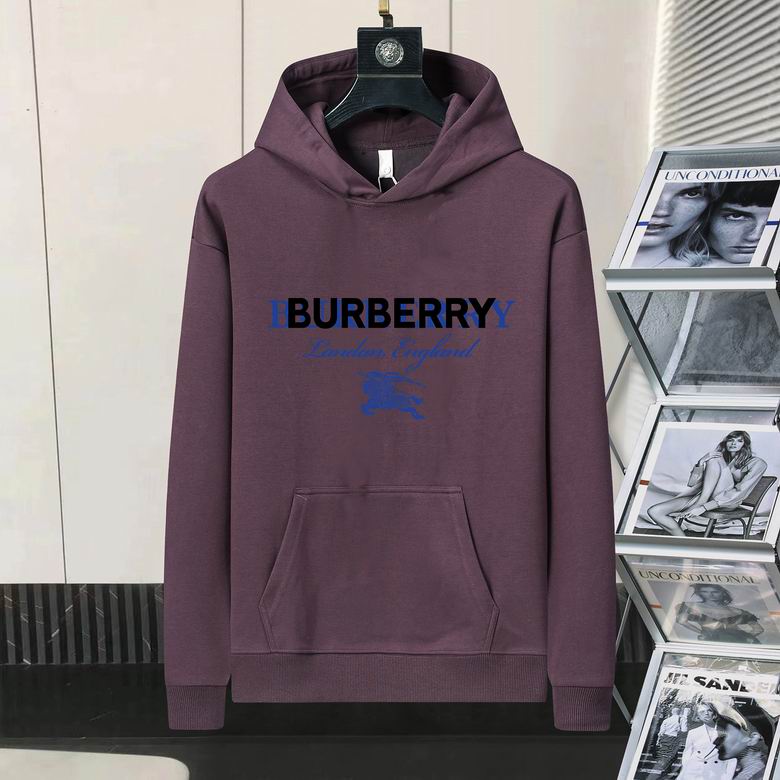 Burberry Hoodie Mens ID:20241022-145